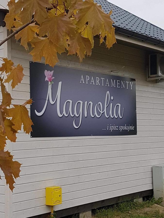 Magnolia Pokoje Goscinne Malbork Bagian luar foto